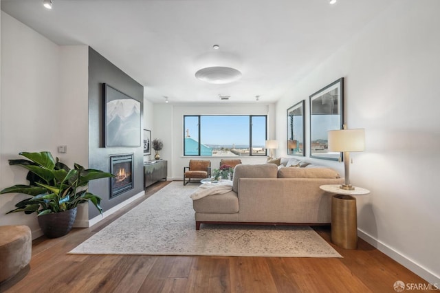 living room featuring wood-type flooring and a large fireplace