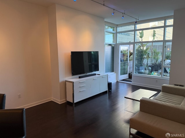 living room featuring dark wood-type flooring and rail lighting