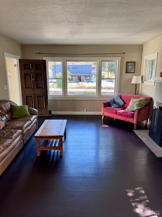 living room with wood-type flooring and a healthy amount of sunlight