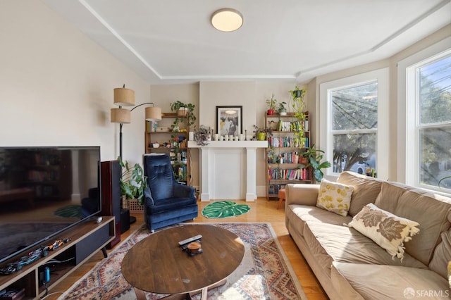 living room featuring hardwood / wood-style flooring