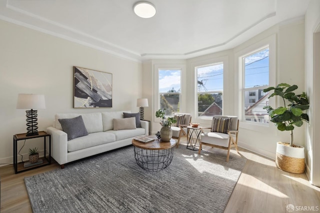 living room featuring crown molding and light hardwood / wood-style floors