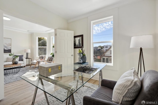 dining space featuring ornamental molding, hardwood / wood-style floors, and a healthy amount of sunlight