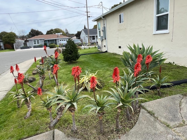 21723 Ada St, Castro Valley, CA 94546 - view of yard