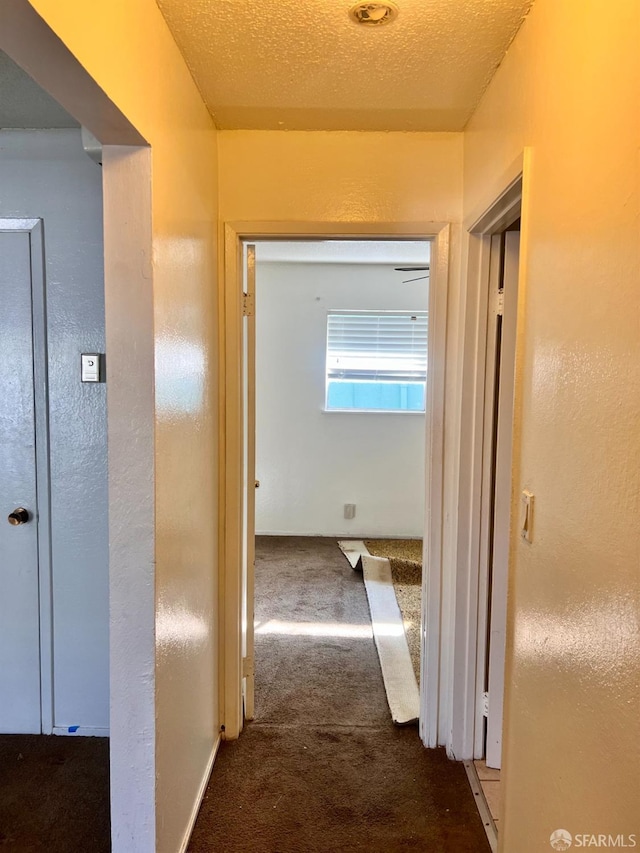 933 41st St, Oakland, CA 94608 - hallway with a textured wall and carpet flooring