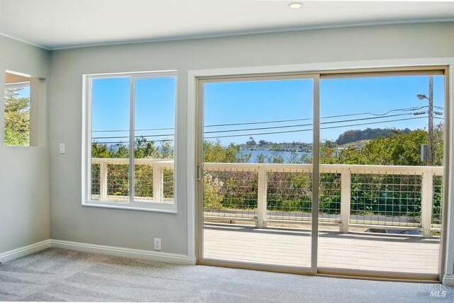 1685 Bay Flat Rd, Bodega Bay, CA 94923 - entryway with baseboards and carpet