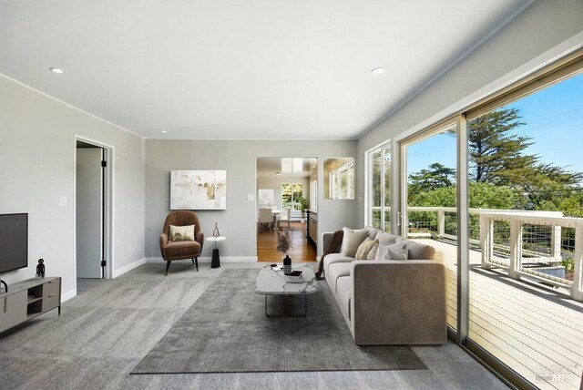 1685 Bay Flat Rd, Bodega Bay, CA 94923 - carpeted living room featuring baseboards and recessed lighting
