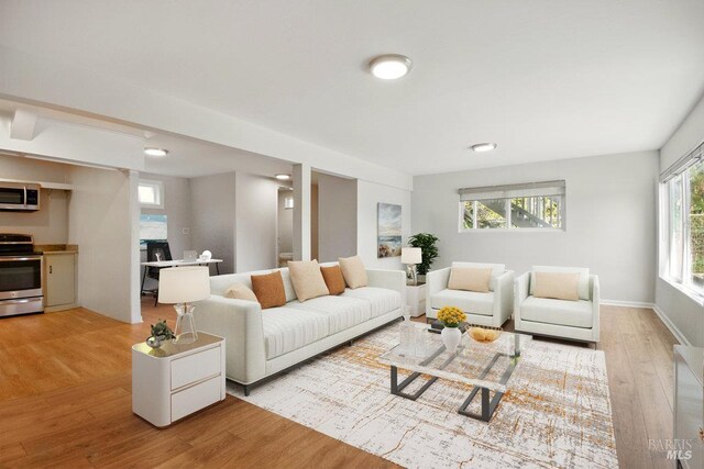 1685 Bay Flat Rd, Bodega Bay, CA 94923 - living area featuring light wood-style floors