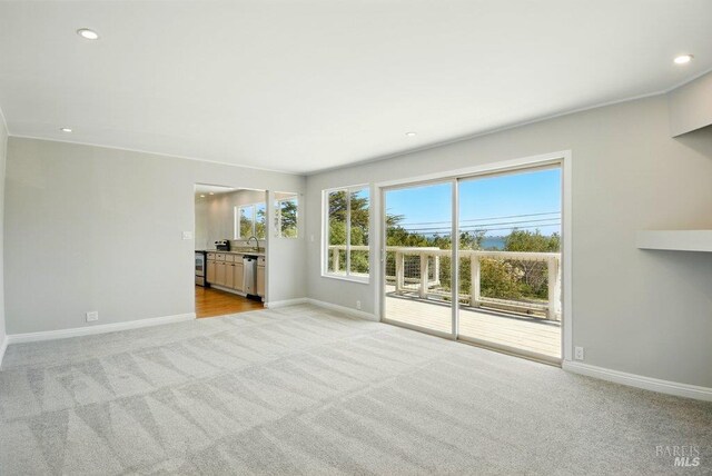 1685 Bay Flat Rd, Bodega Bay, CA 94923 - unfurnished living room featuring baseboards, light carpet, a sink, and recessed lighting