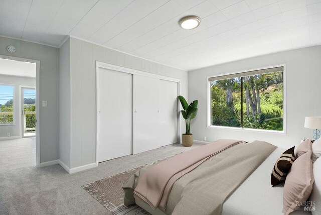 1685 Bay Flat Rd, Bodega Bay, CA 94923 - bedroom featuring carpet, crown molding, a closet, and baseboards
