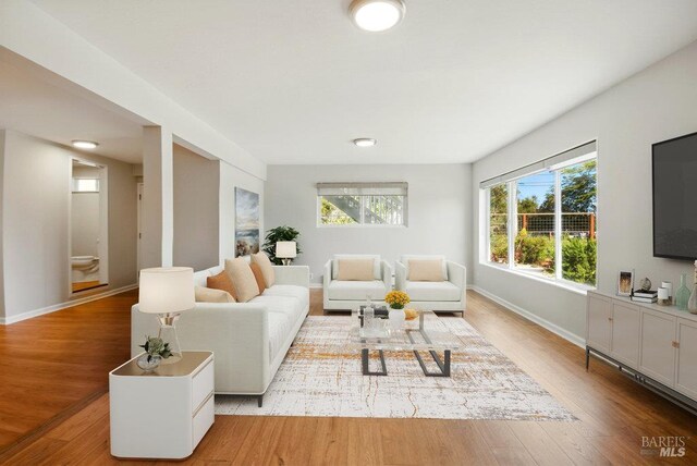 1685 Bay Flat Rd, Bodega Bay, CA 94923 - living room featuring baseboards, plenty of natural light, and wood finished floors