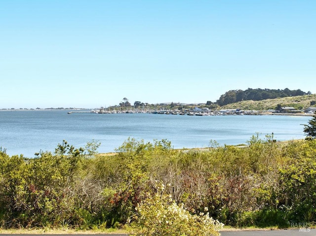 1685 Bay Flat Rd, Bodega Bay, CA 94923 - water view