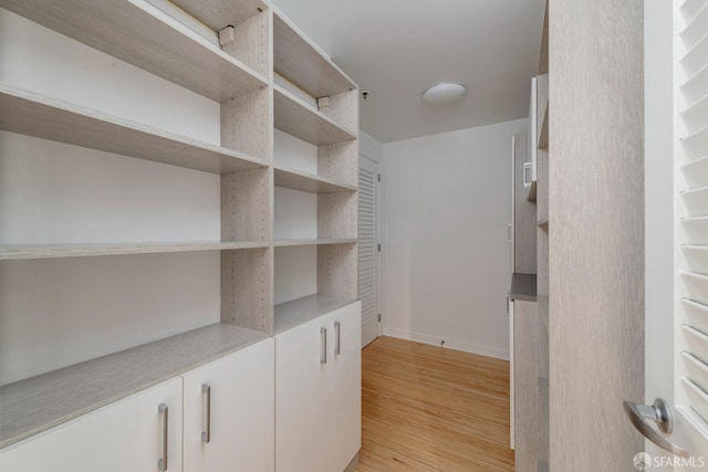 walk in closet with light wood-type flooring