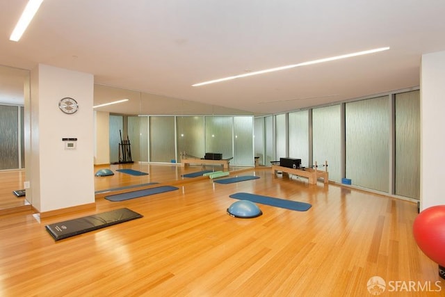 workout room featuring light hardwood / wood-style flooring