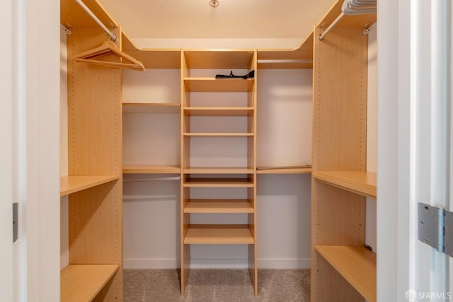 spacious closet featuring carpet flooring