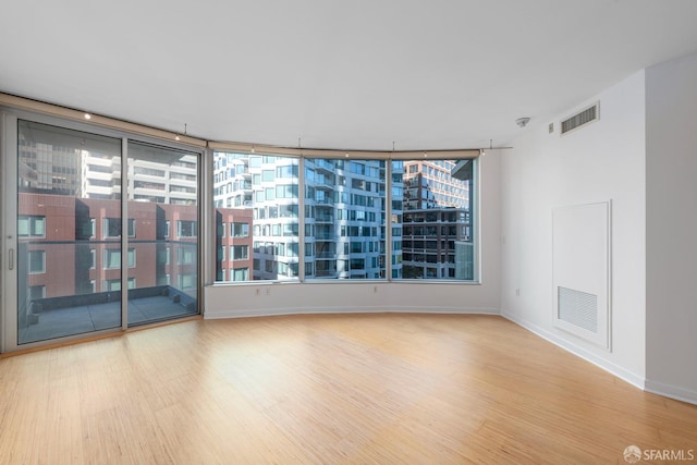 spare room featuring a wealth of natural light and wood-type flooring