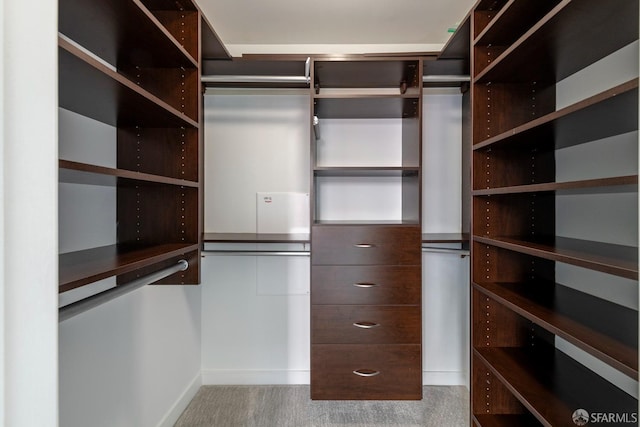 walk in closet featuring carpet flooring