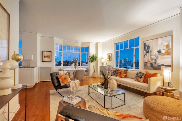 living room featuring wood finished floors