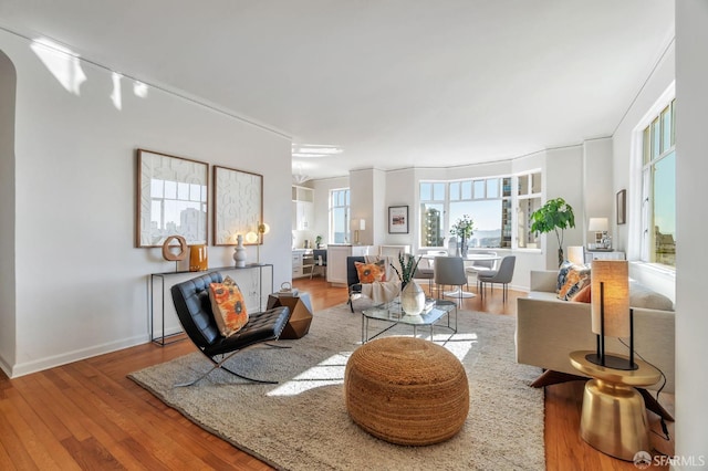 living area with baseboards and wood finished floors