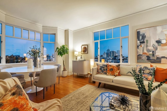 living room featuring crown molding, a view of city, and wood finished floors