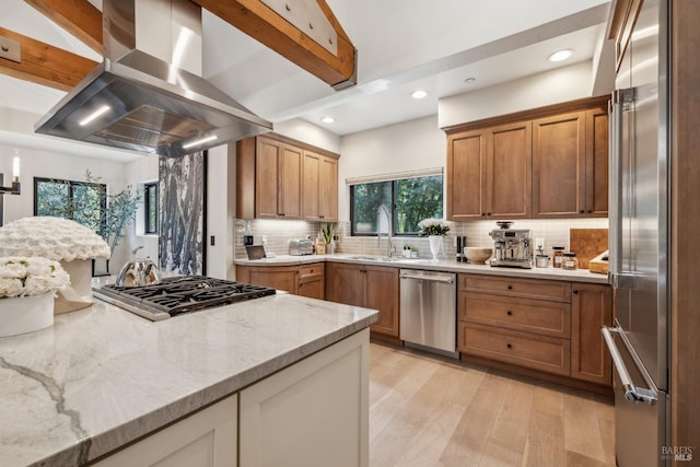 kitchen with light wood finished floors, exhaust hood, stainless steel appliances, a sink, and decorative backsplash