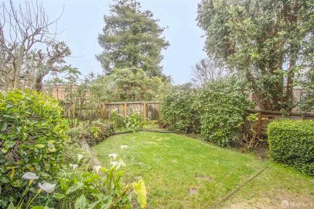 view of yard with a fenced backyard