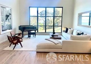 living room featuring a healthy amount of sunlight and wood-type flooring