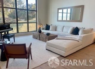 living room with a healthy amount of sunlight