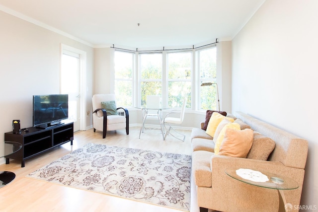 living room featuring crown molding and wood-type flooring