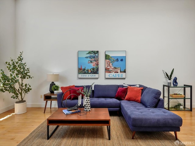 living room with hardwood / wood-style floors