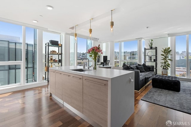 kitchen with dark wood-type flooring, modern cabinets, a sink, and a wealth of natural light