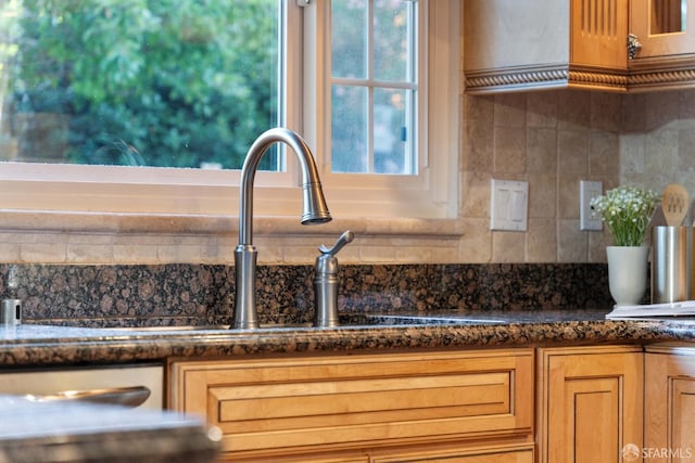 interior details featuring decorative backsplash and dark stone countertops