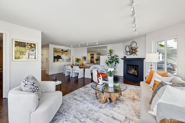 living area featuring a fireplace, track lighting, and wood finished floors