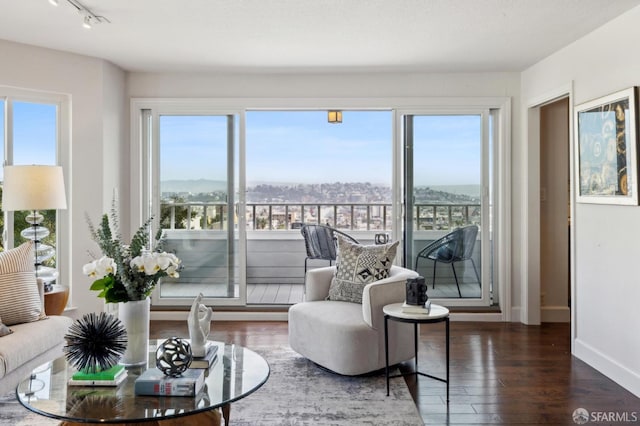 interior space featuring track lighting, a wealth of natural light, baseboards, and wood finished floors