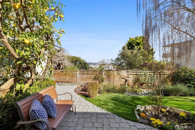 view of yard with a patio and fence