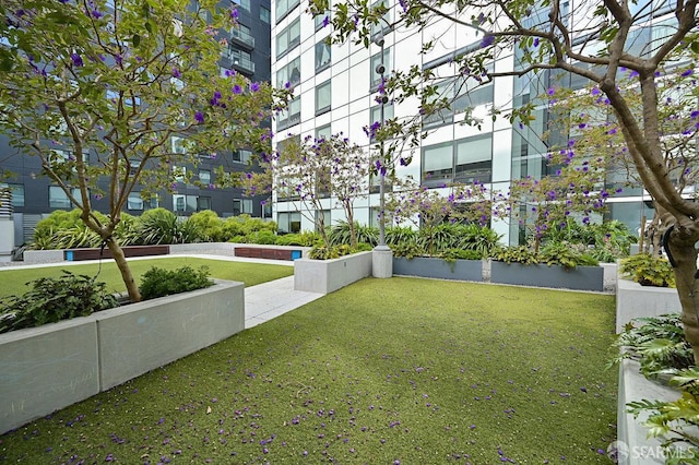 1400 Mission St Unit 1203, San Francisco, CA 94103 - photo 16