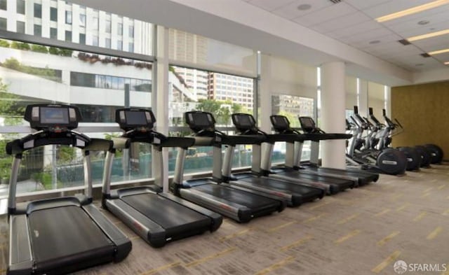 workout area with plenty of natural light, a paneled ceiling, and carpet