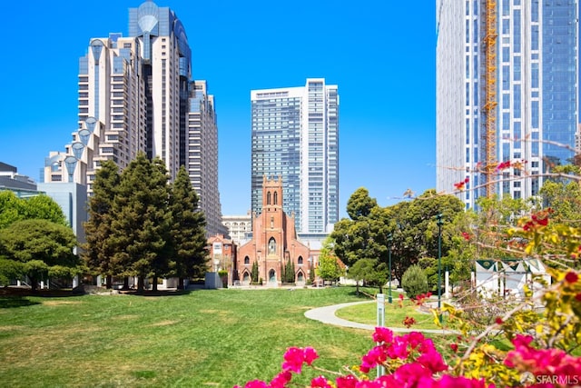 view of property's community featuring a lawn