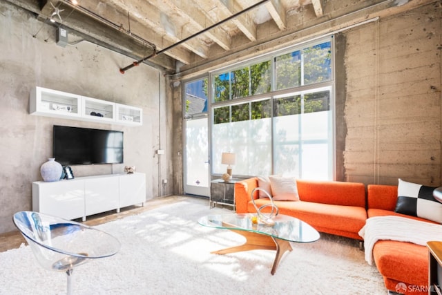 living room featuring concrete flooring