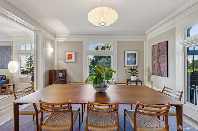 dining room with crown molding and hardwood / wood-style floors