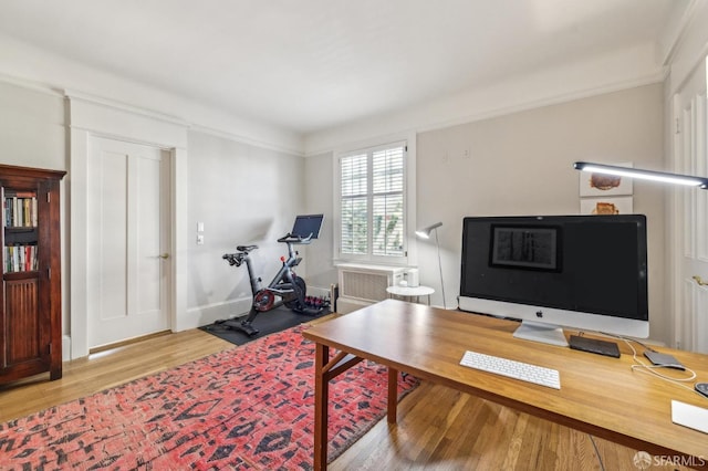 office featuring crown molding and light wood-type flooring