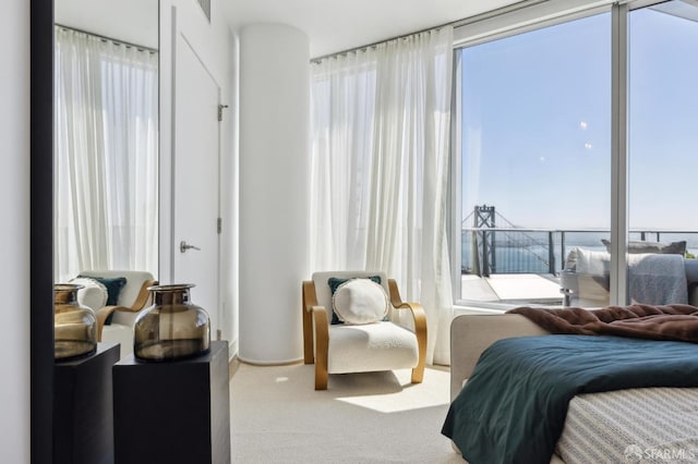 338 Main St Unit Ph36B, San Francisco, CA 94105 - view of carpeted bedroom