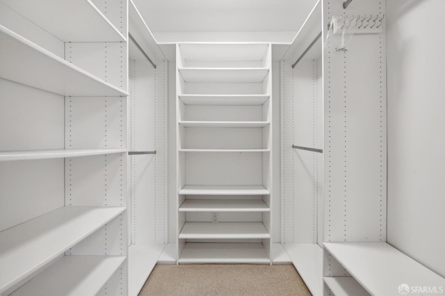 walk in closet with light carpet