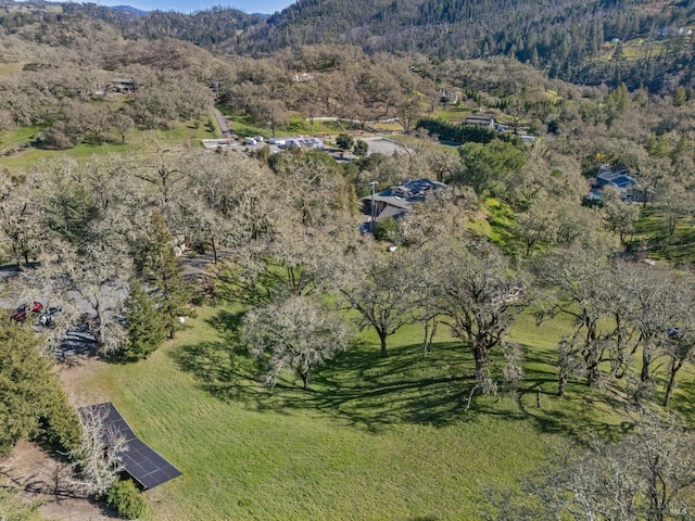 aerial view with a mountain view and a view of trees