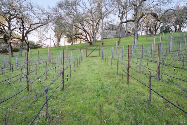 view of yard featuring a rural view and fence