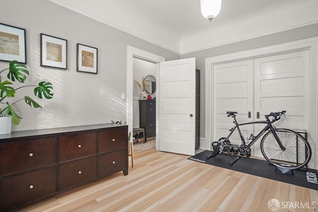 workout room featuring light hardwood / wood-style flooring