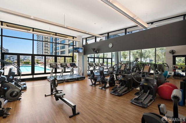 gym featuring wood-type flooring, a wealth of natural light, and a wall of windows