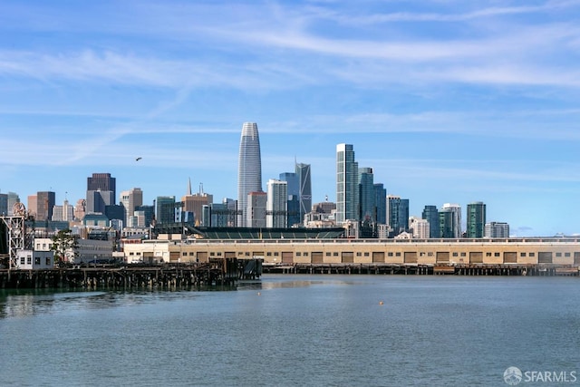 property's view of city with a water view