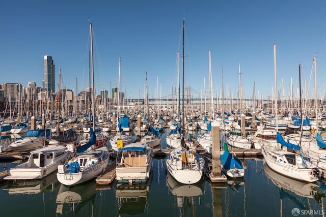 dock area featuring a water view