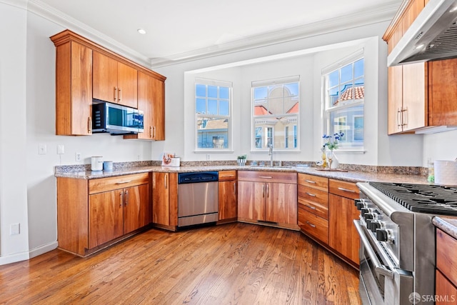kitchen featuring a sink, ventilation hood, light wood-type flooring, appliances with stainless steel finishes, and crown molding