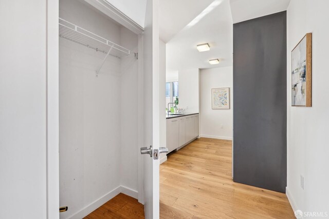 closet with sink